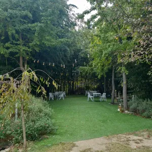 프루터리 포레스트 사진 2