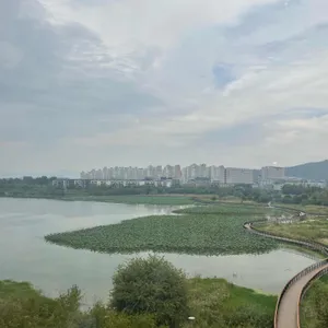 현담 리뷰 사진