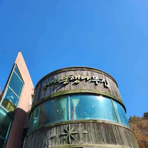 농다리은행나무집 사진 2