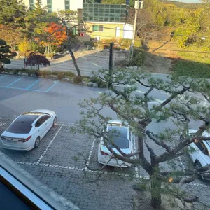 투썸플레이스 리뷰 사진