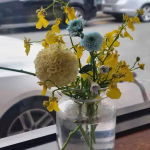 오스테리아 보노 리뷰 사진