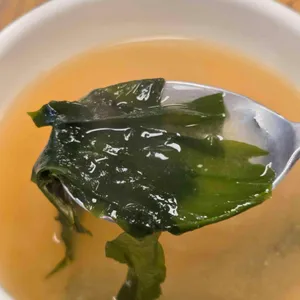 제주바다에 사진