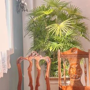 가장 보통의 하루 리뷰 사진