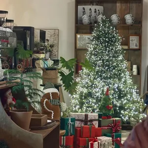 정드리 리뷰 사진