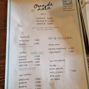 오보드나타 리뷰 사진