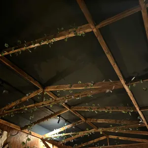 부엉이산장 리뷰 사진