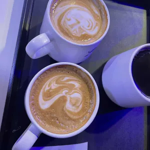 매직플로우 사진