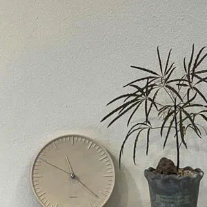 베코프제이 리뷰 사진