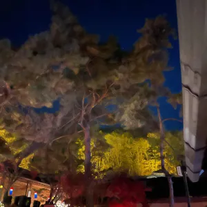 마당에모닥불하늘엔둥근달 사진