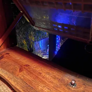 마당에모닥불하늘엔둥근달 리뷰 사진