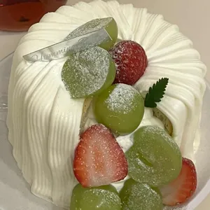 허밍벨라 사진 2