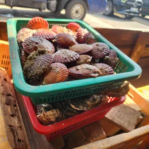 원조굴구이 사진