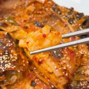 속초그바람에 사진