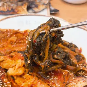 속초그바람에 사진