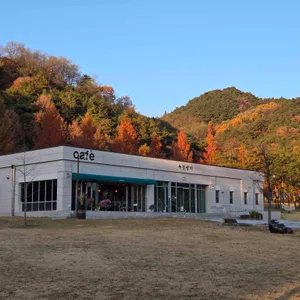 카페피크닉 리뷰 사진