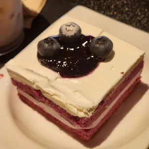 파스쿠찌 대표 사진