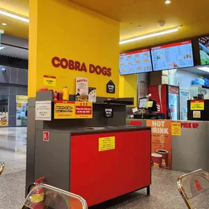 코브라독스 리뷰 사진