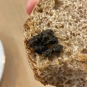 브레라 대표 사진