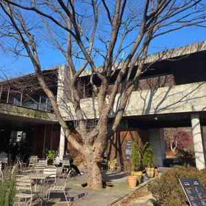 헤세의정원 리뷰 사진