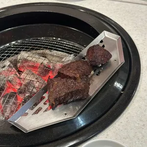 강동갈빗살 사진 1