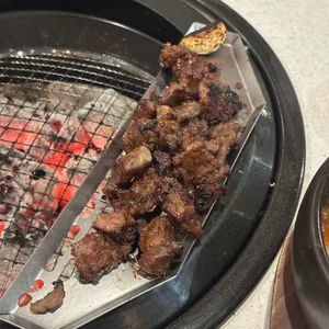 강동갈빗살 사진