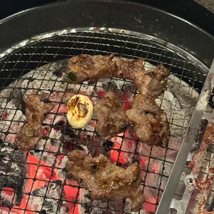 강동갈빗살 사진