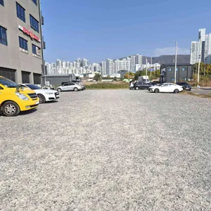 신봉평메밀 리뷰 사진