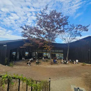 카페 먹 리뷰 사진