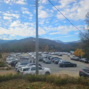 카페 먹 리뷰 사진