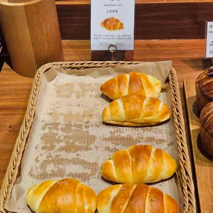 르배 대표 사진