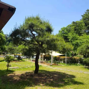 써니사이드업 대표 사진