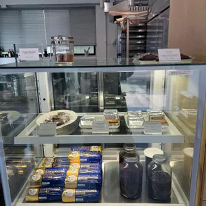 비스퀴테리 산 리뷰 사진