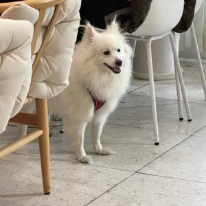 에멘탈커피 리뷰 사진