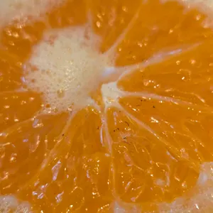 바나프레소 대표 사진