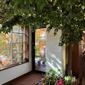 메종 리뷰 사진