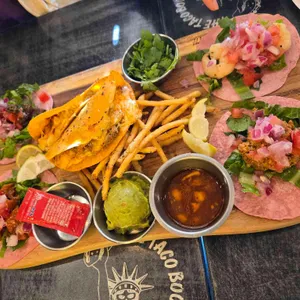 더타코부스 사진