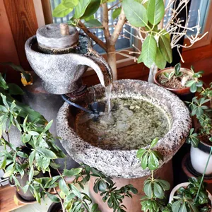 향설 대표 사진