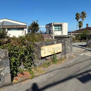 아라파파북촌 리뷰 사진