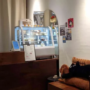 오노푸 리뷰 사진