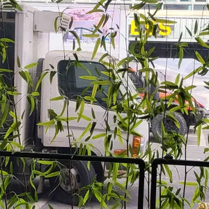 스시 온도로 쌍촌 점심저녁룸식당 리뷰 사진