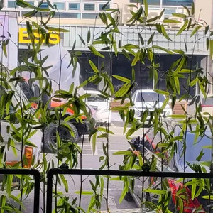 스시 온도로 쌍촌 점심저녁룸식당 리뷰 사진