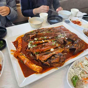 황금코다리 사진 1