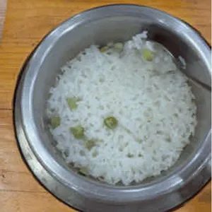 일광정담솥밥 리뷰 사진