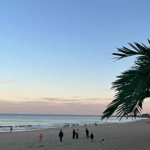 아우로라 대표 사진