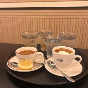 마일로에스프레소바 사진