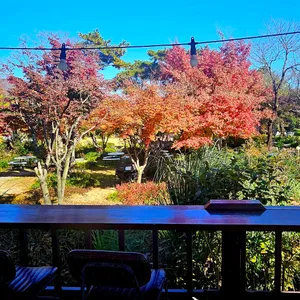 구르미머무는 리뷰 사진