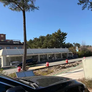 에센시아 리뷰 사진