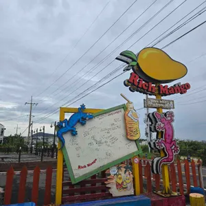 리치망고 리뷰 사진