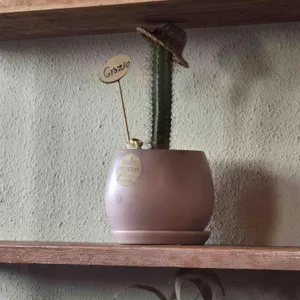 그라치에 리뷰 사진