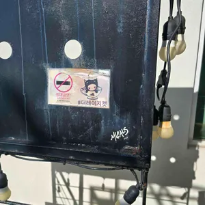 The lazy cat 리뷰 사진